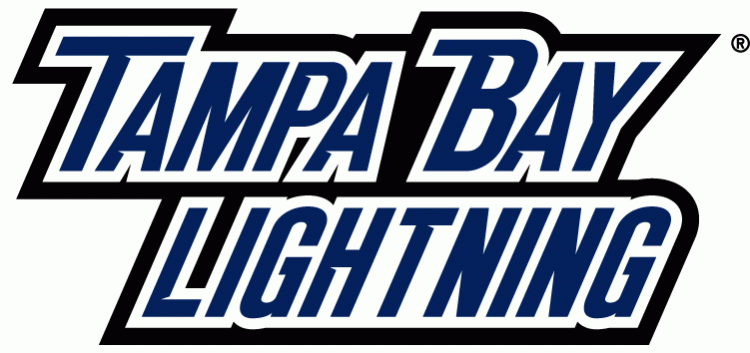 Tampa Bay Lightning 2011 Wordmark Logo fabric transfer